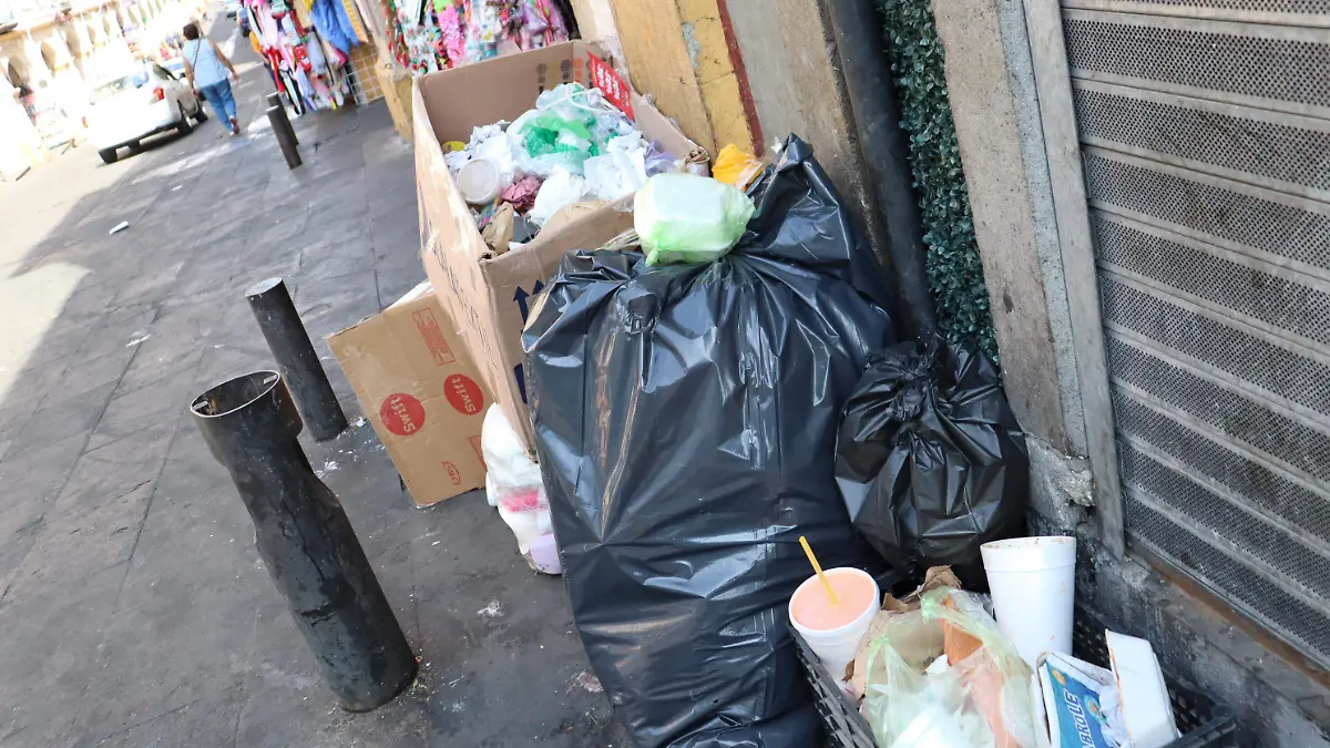 normas-basura2-luis-flores