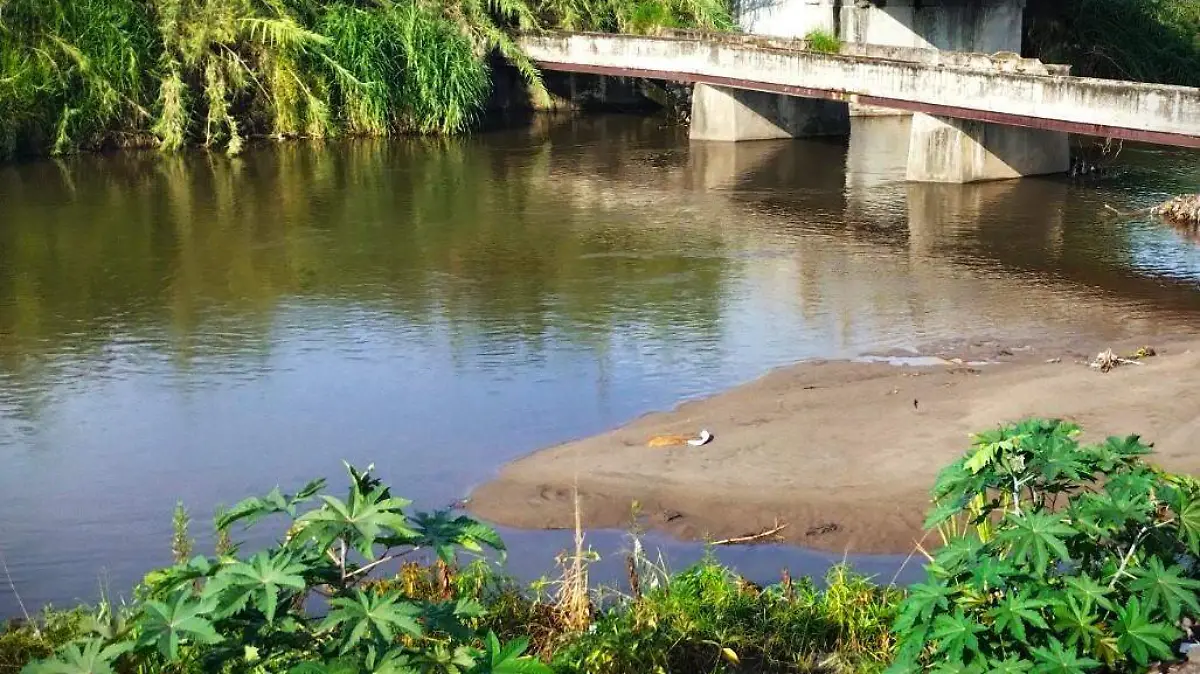 ¿Cuánto cuesta el huevo en Morelos? - El Sol de Cuernavaca | Noticias
