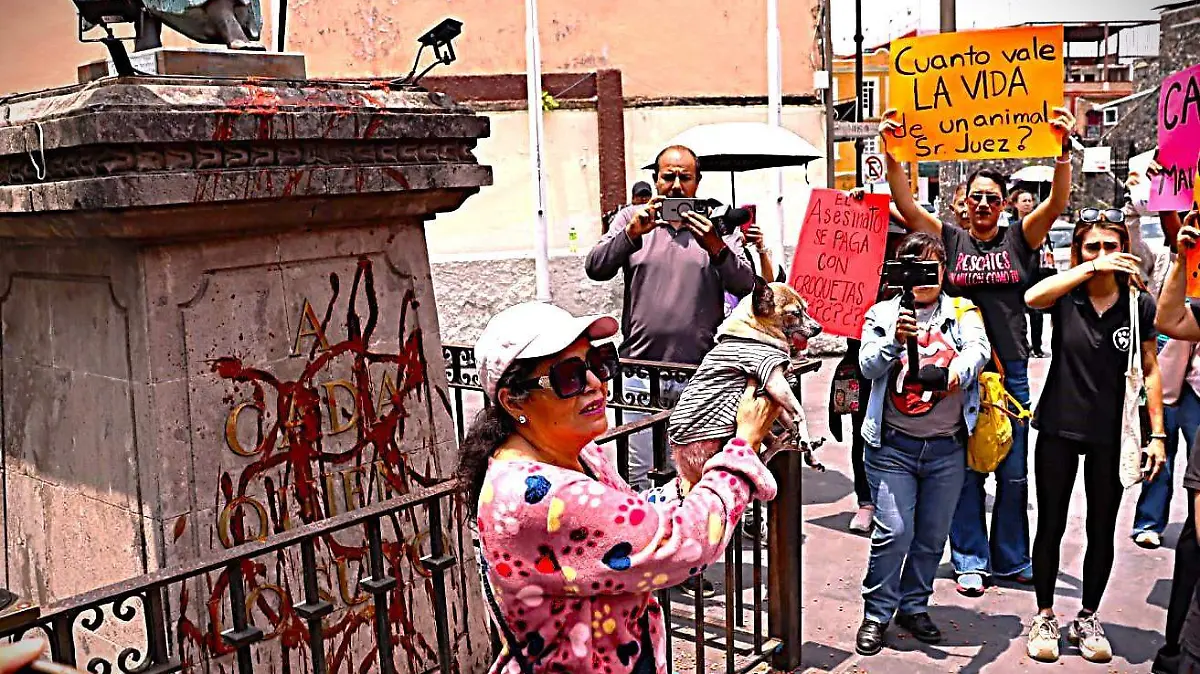 protesta-morelos-maltrato-animal