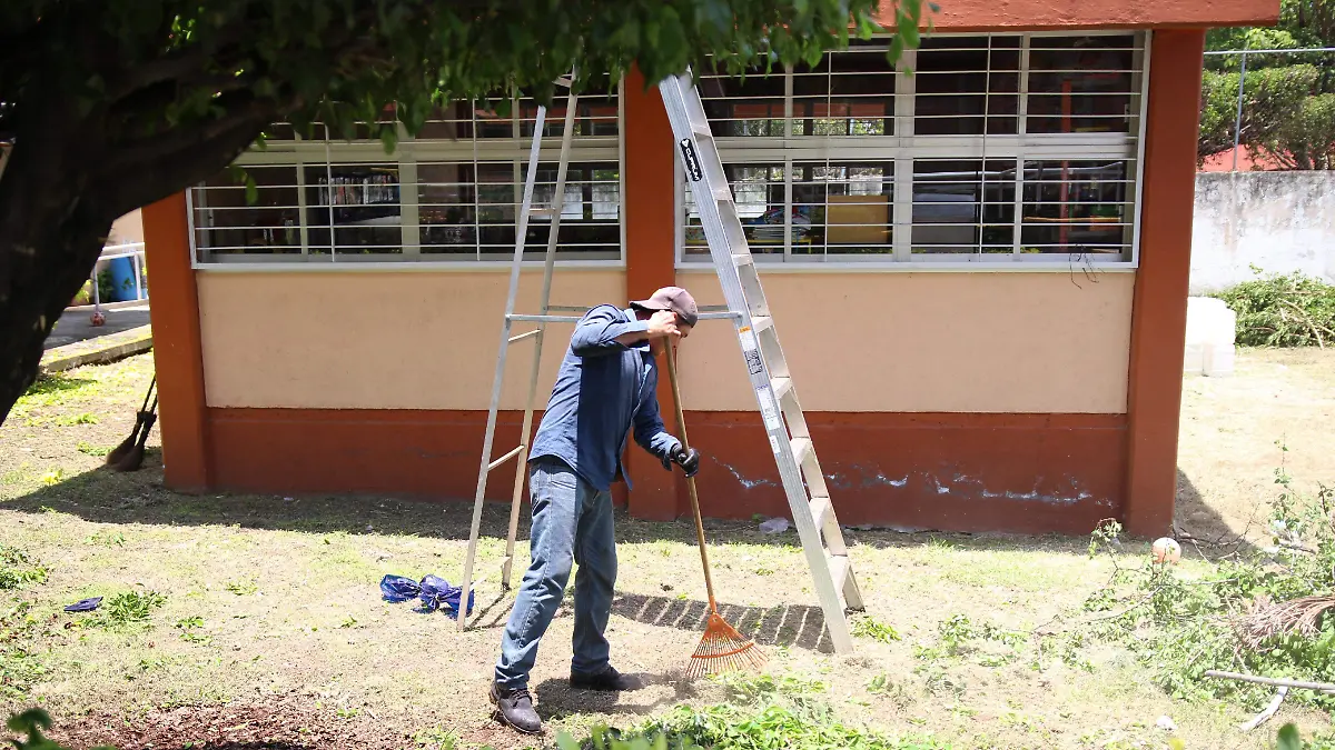 Trabajadores de Jiutepec realizan poda de árboles en escuelas