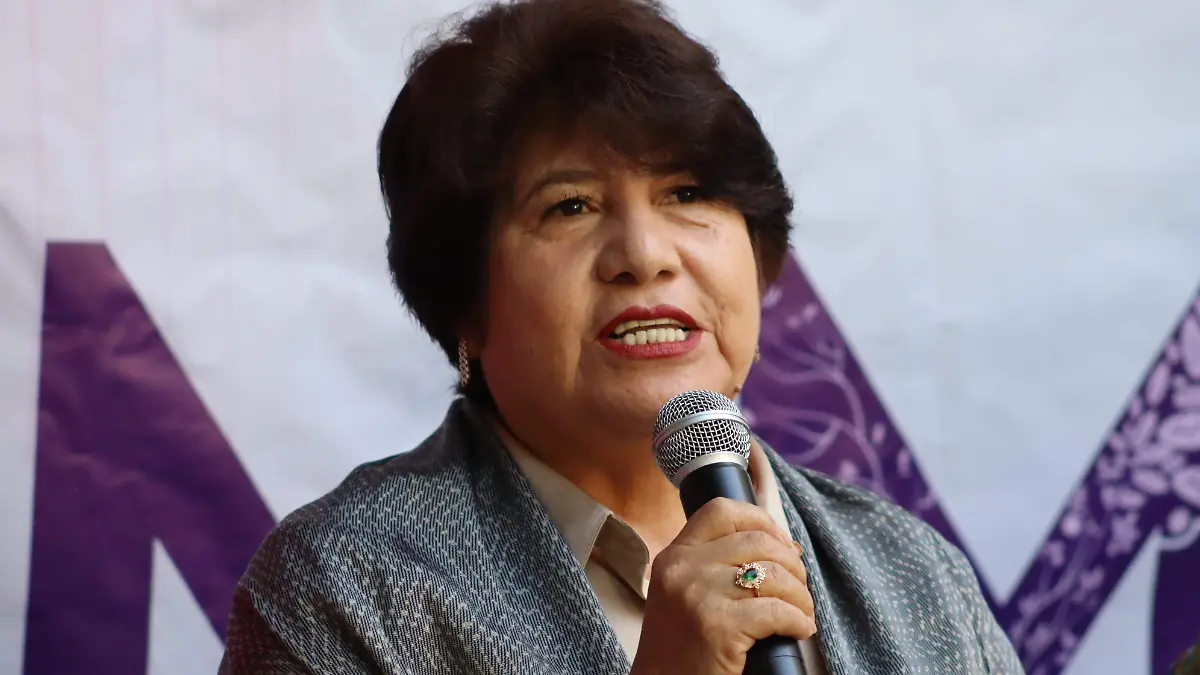 guillermina-reformas1-luis-flores
