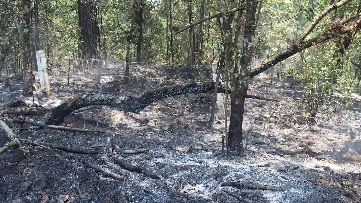 incendios-cambio1-luis-flores