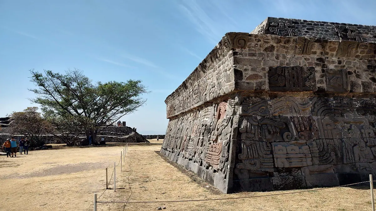 WhatsApp Image 2025-07-22 at 2.45.51 PM