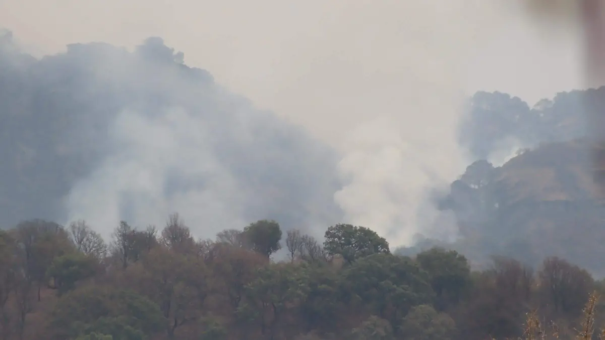 perseo-incendios2-luis-flores