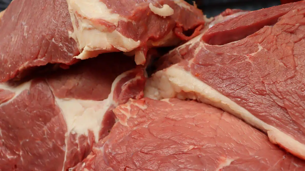 carne-certificacion1-luis-flores