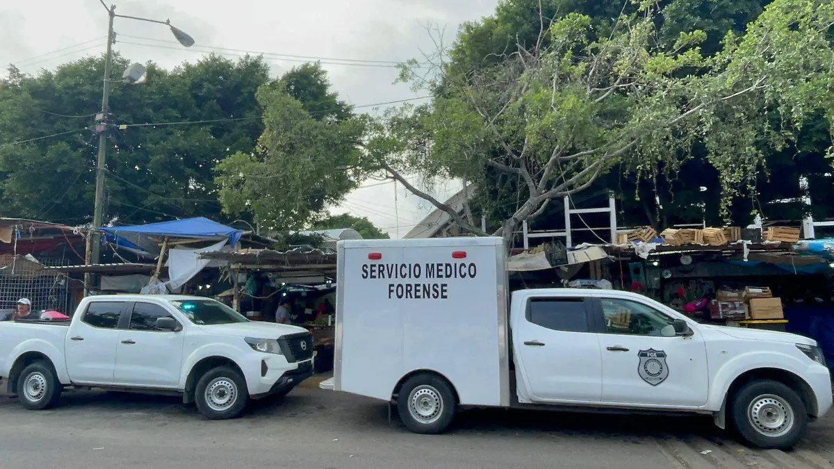 Hombre muere en accidente en el ALM