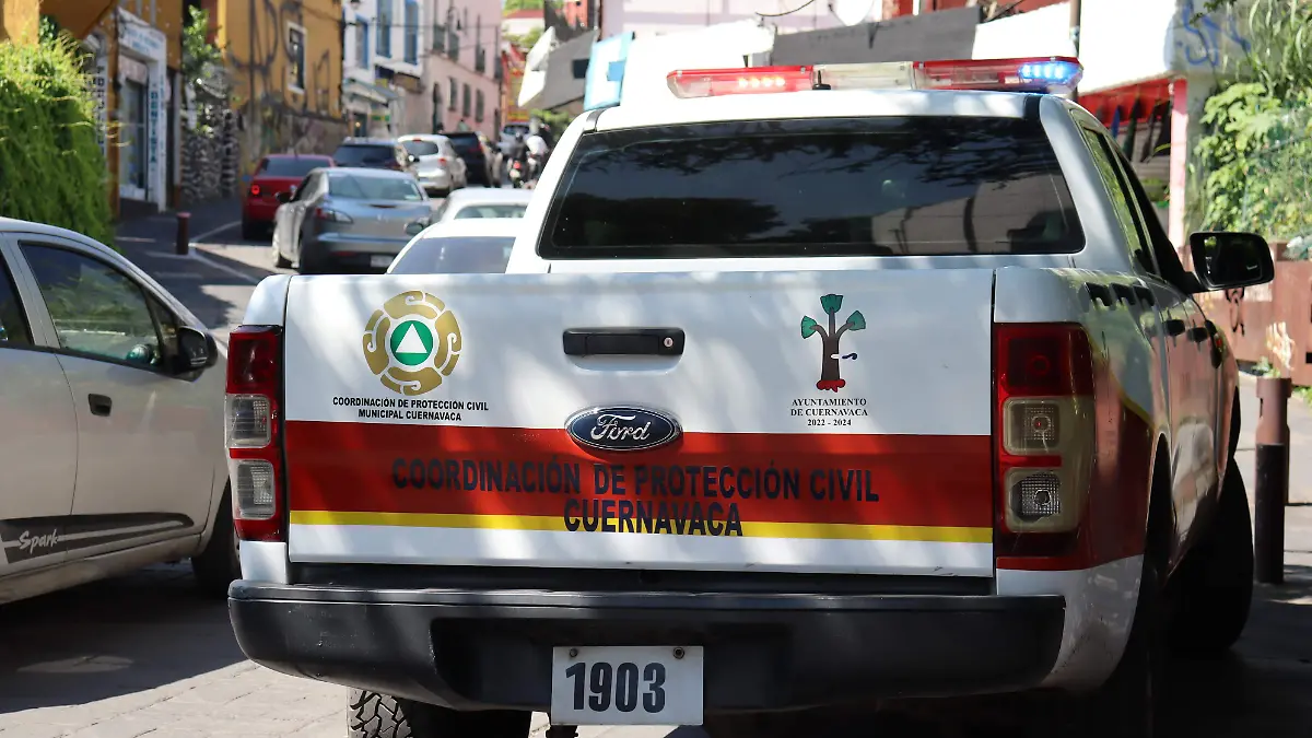 proteccion-supervicion2-luis-flores