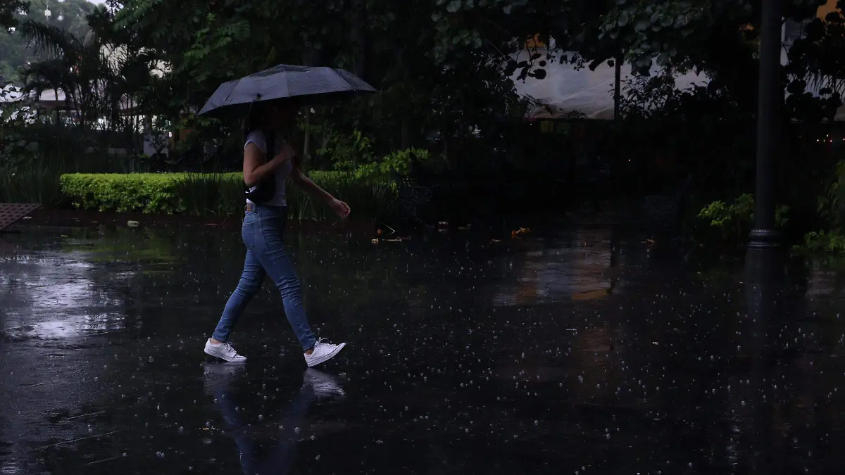 apoyo-lluvia2-luis-flores