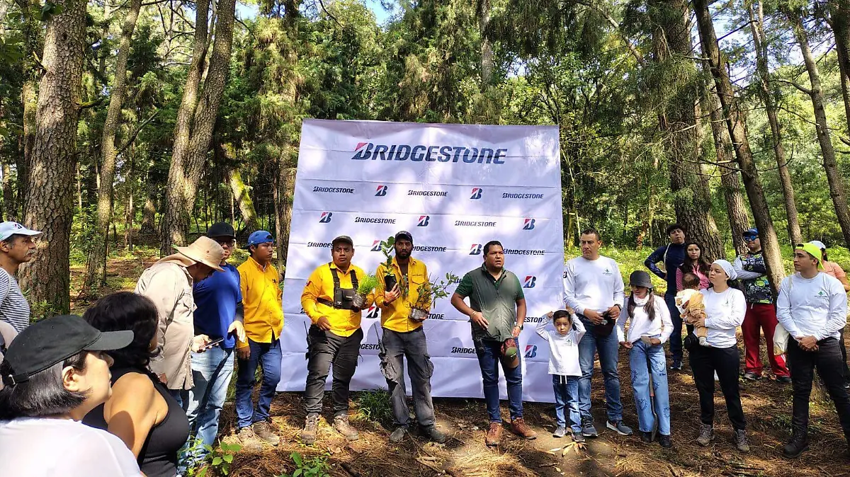Camapaña reforestación Bridgestone