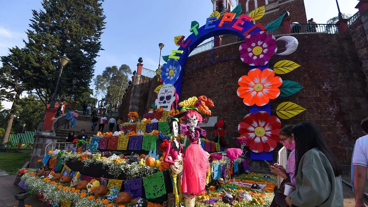 901678_Mega Ofrenda en Metepec_web