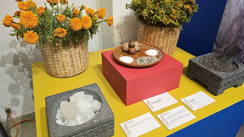 exposición-hueyapan-tres