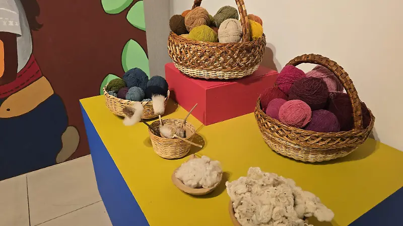 exposición-hueyapan-seis