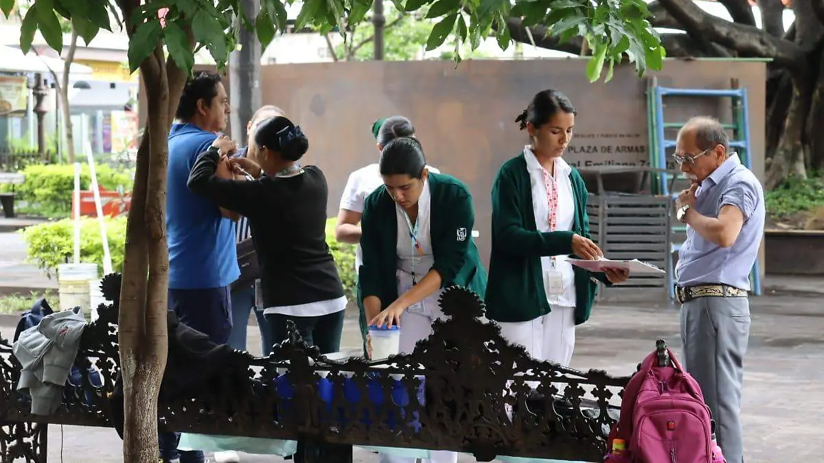 vacunacion-influenza2-luis-flores