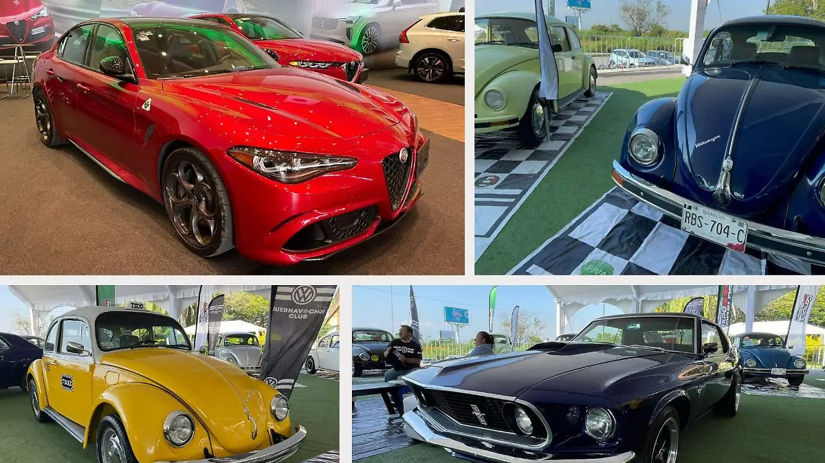 expo-autos