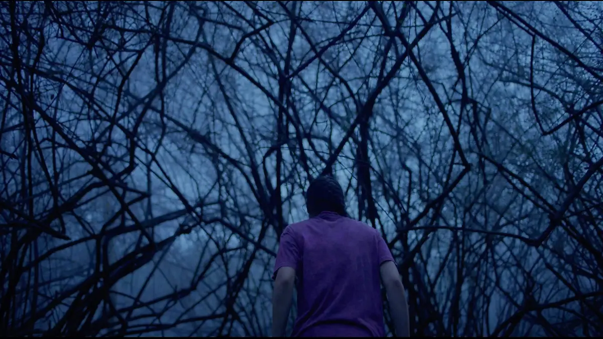 still3_huesera_ficm