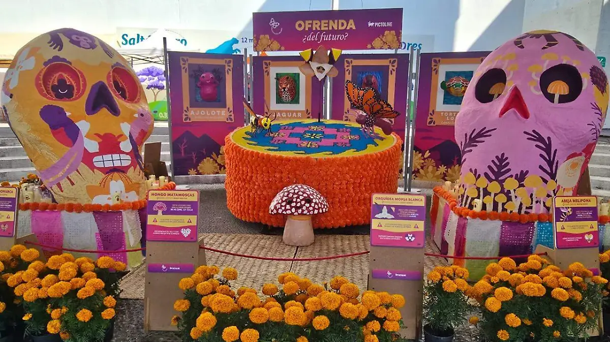 WhatsApp Image 2025-10-31 at 1.37.17 PM