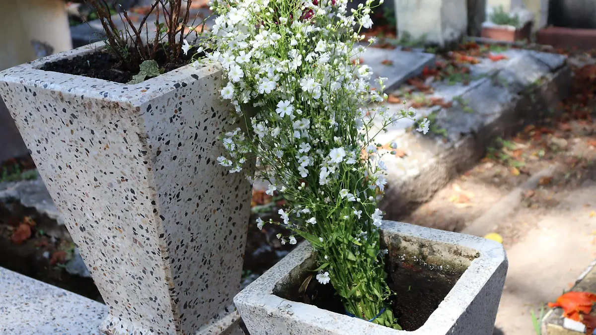 panteones-dengue1-luis-flores