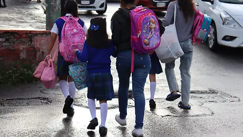 escuelas-brigadas1-luis-flores