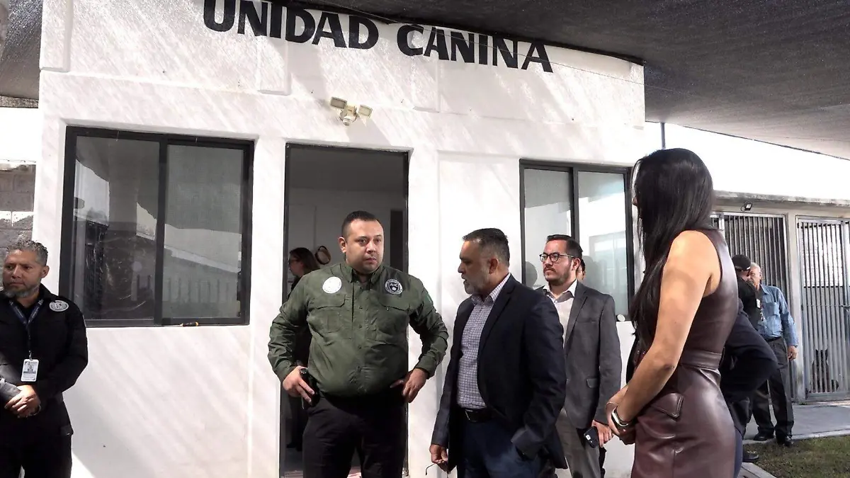 entrenamiento-canino