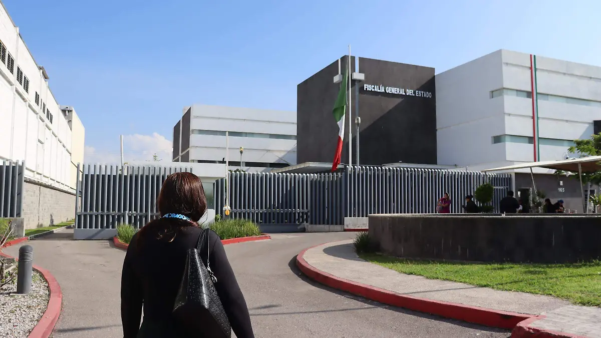 parra-dadosdbaja1-luis-flores