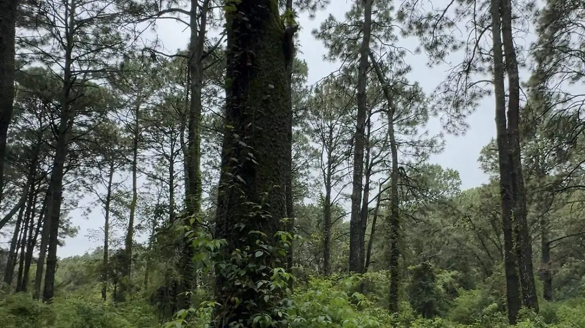 cuernavaca-ahuatepec-geovany-carriche (2)