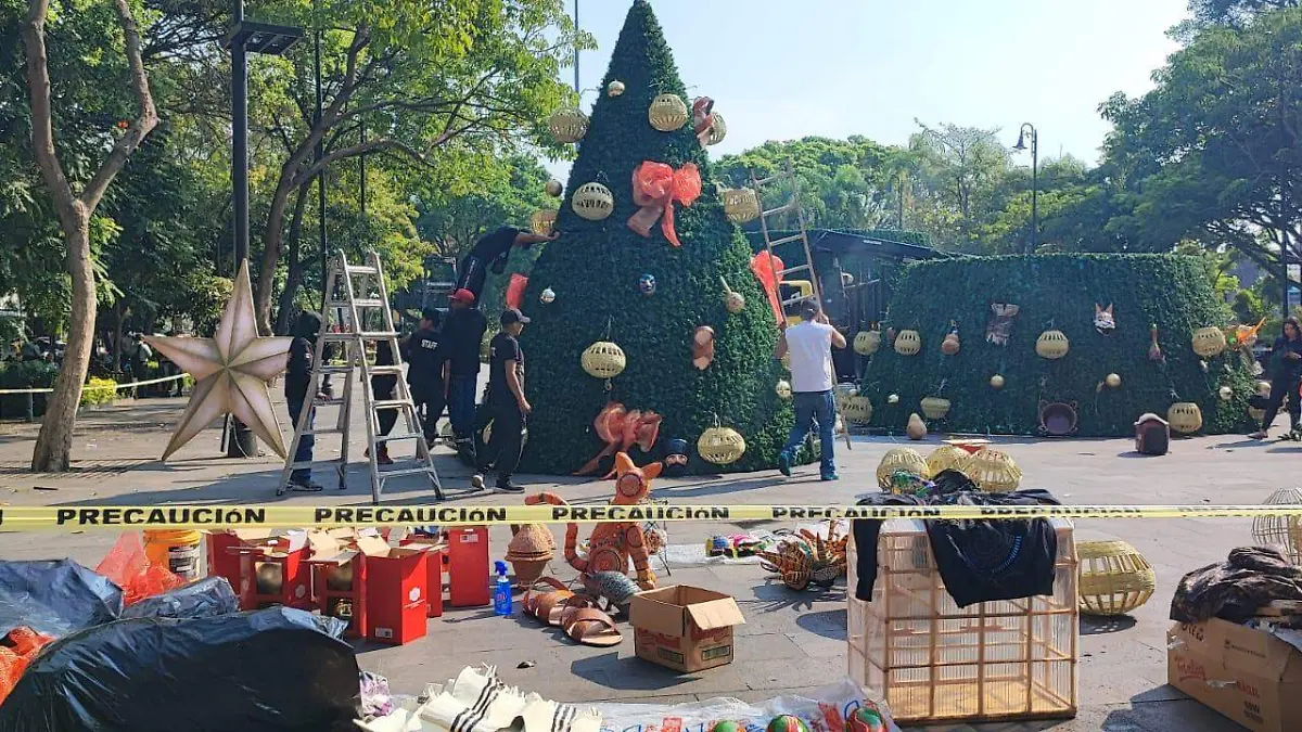 WhatsApp Image 2025-12-13 at 11.15.39 AM (2)