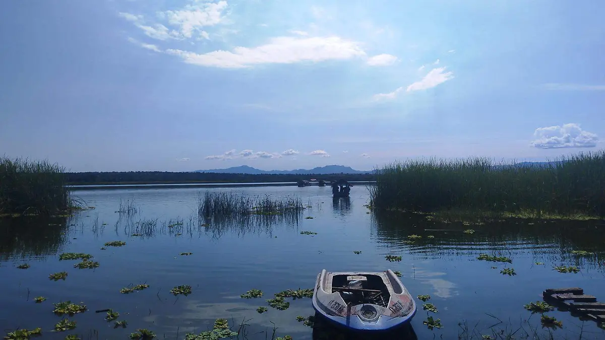 laguna-coatetelco-morelos-angelina (4)