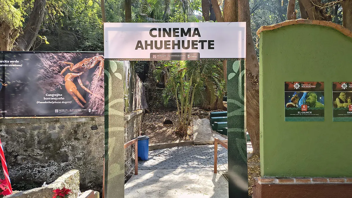 parque-chapultepec-navidad-med (3)