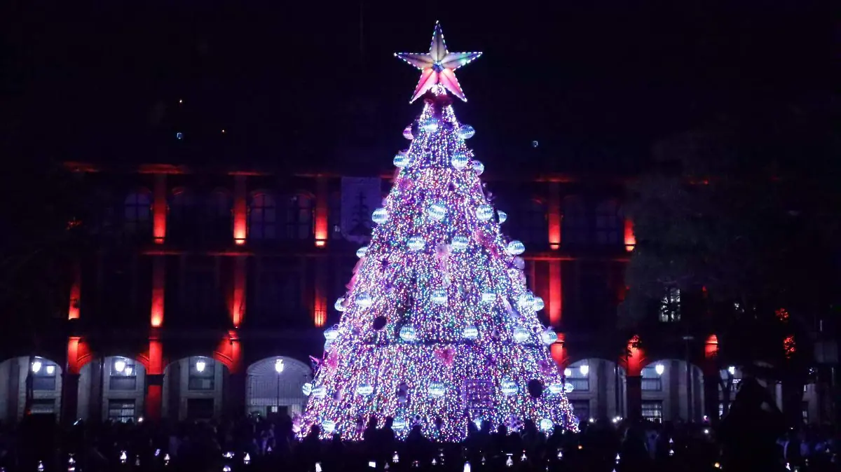 WhatsApp Image 2025-12-15 at 6.51.41 PM (1)