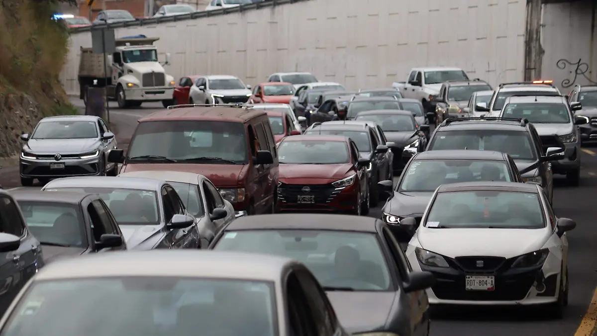 tarjetacirculacion-digital1-luis-flores