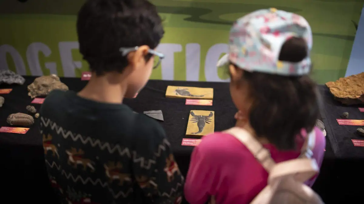 ciencia-museo-cuernavaca (2)