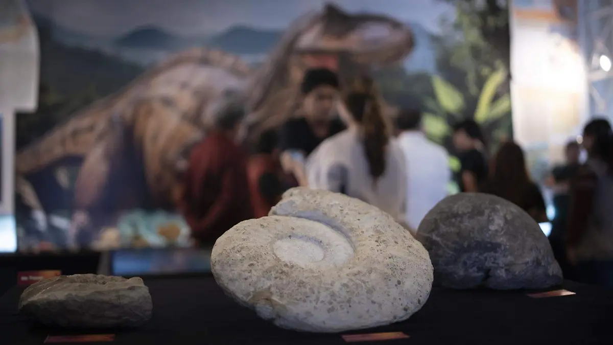 ciencia-museo-cuernavaca (1)