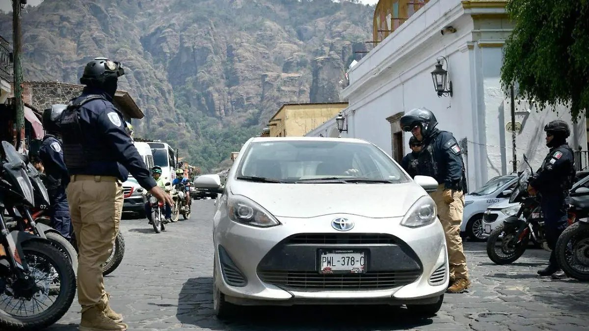 operativo-seguridad-vacaciones-invierno (2)