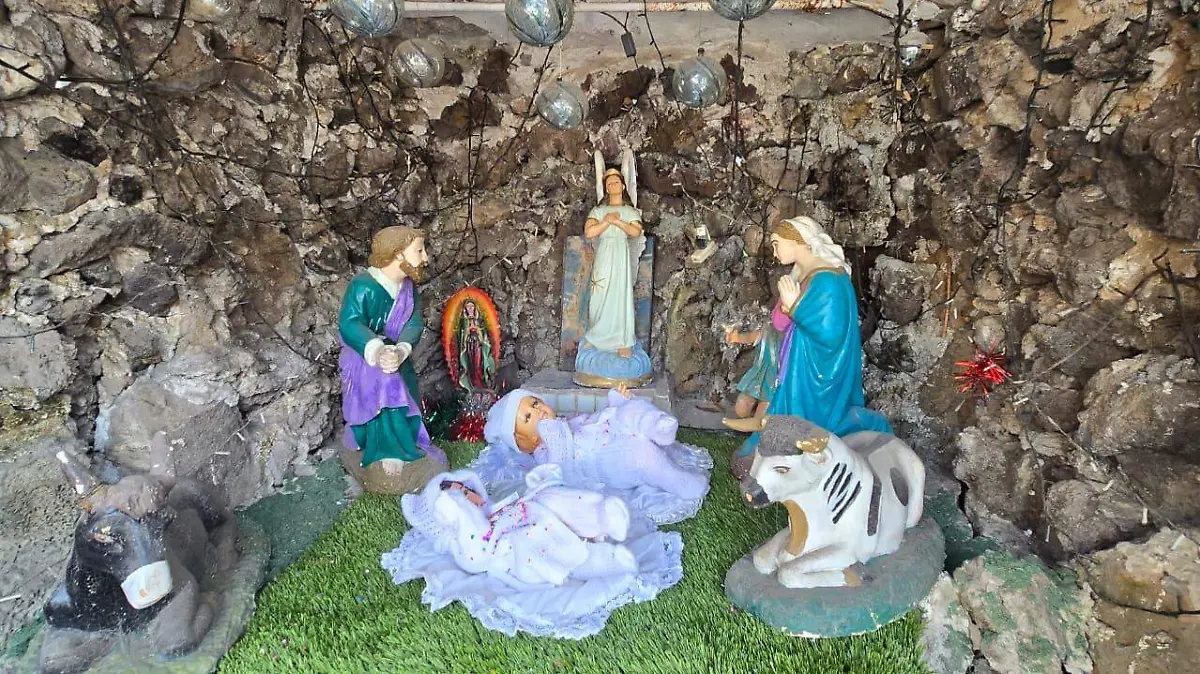 WhatsApp Image 2025-12-29 at 3.30.51 PM