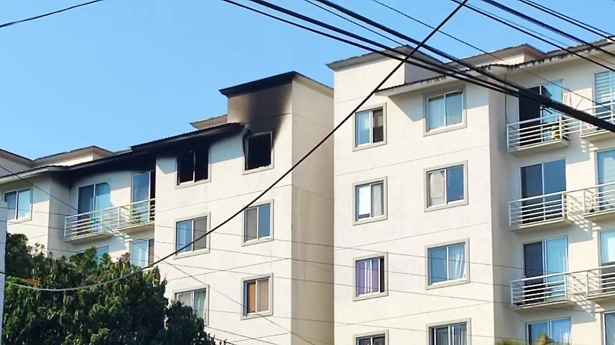 WhatsApp Image 2026-01-01 at 3.05.23 PM