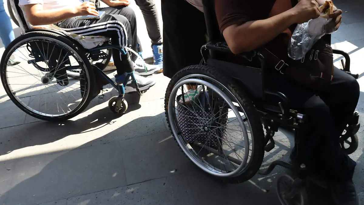 transporte-adaptacion1-luis-flores