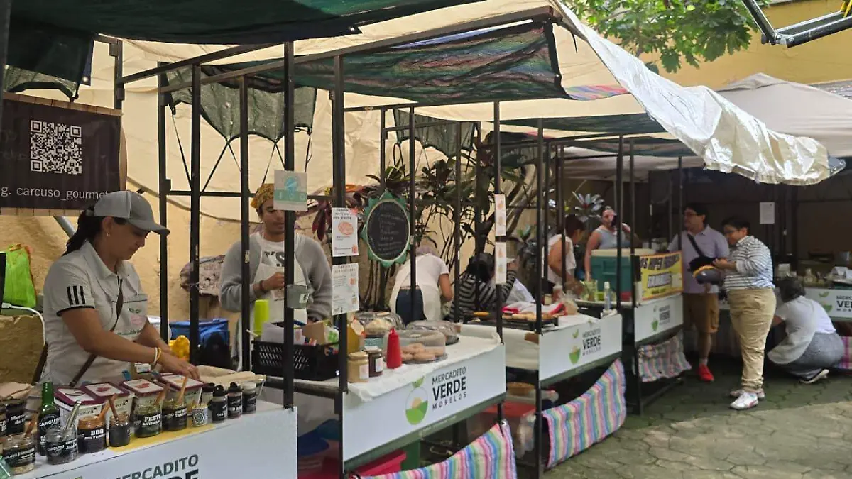 WhatsApp Image 2026-01-05 at 3.13.19 PM