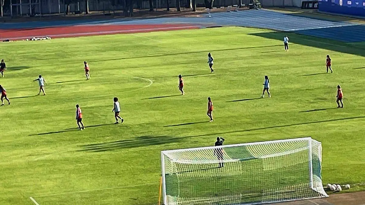 WhatsApp Image 2026-01-09 at 4.23.40 PM