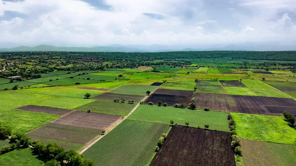 quemas-agricolas-campo-morelos