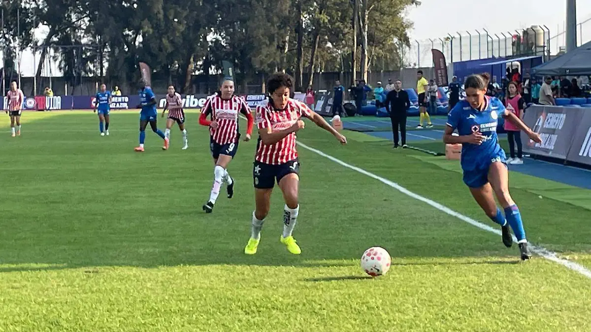 WhatsApp Image 2026-01-10 at 5.56.09 PM