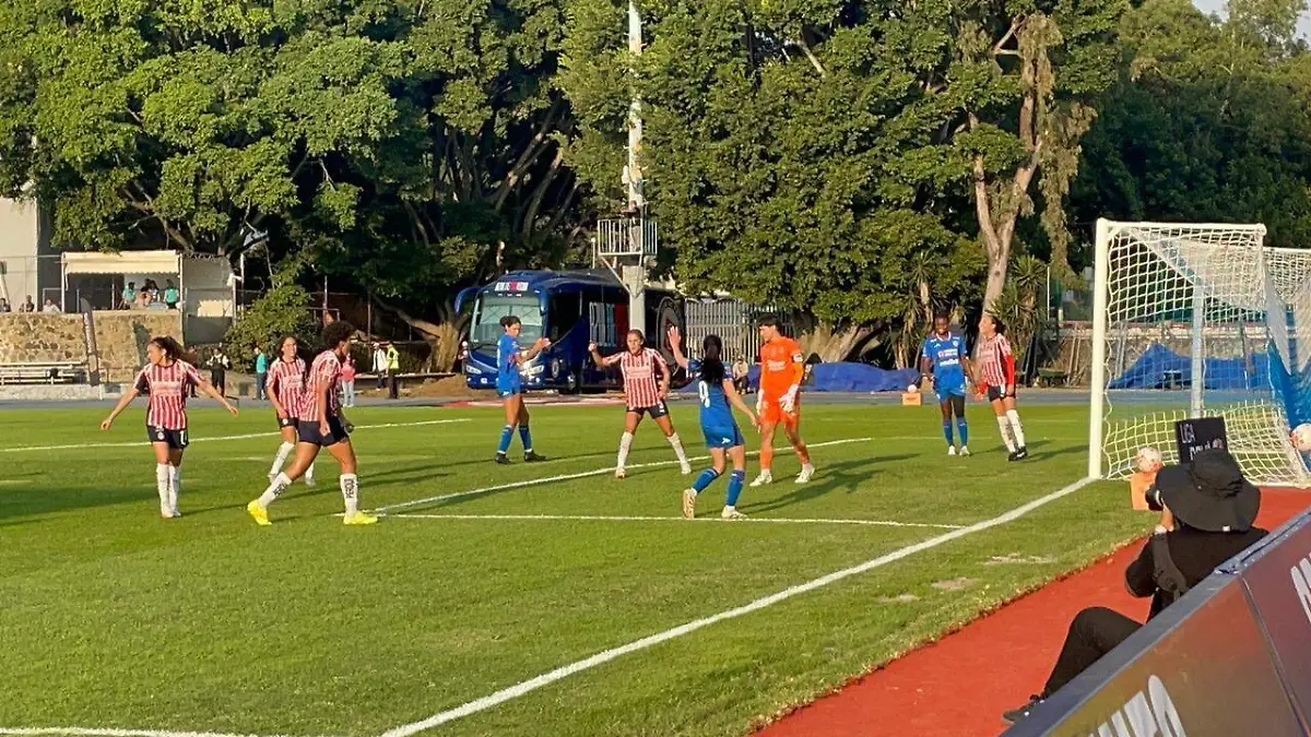 WhatsApp Image 2026-01-10 at 5.55.46 PM