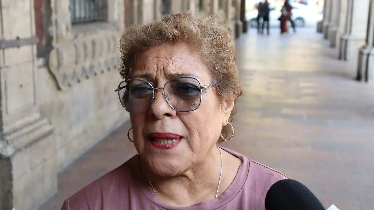 ruth-maestrosinseguridad1-luis-flores