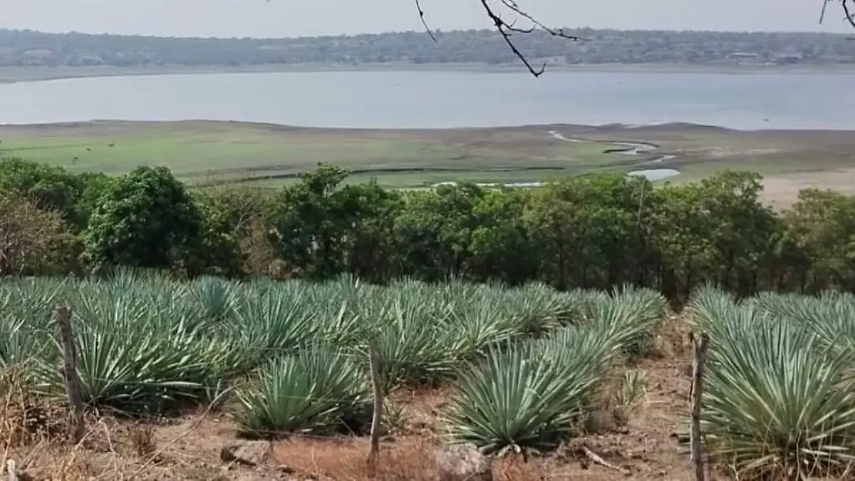 12-ENE-F4-ANGE.JPG (4)