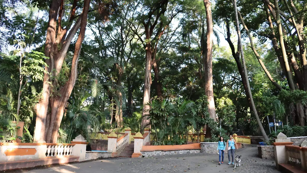 hugointervencion-melchorocampo1-luis-flores