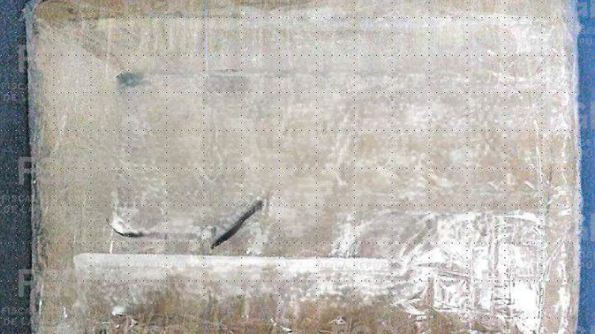 WhatsApp Image 2026-01-17 at 9.34.24 AM