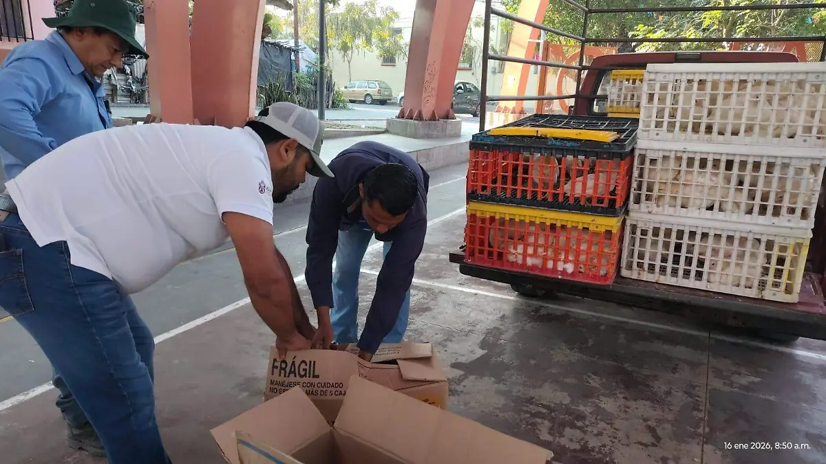 WhatsApp Image 2026-01-18 at 4.52.07 PM