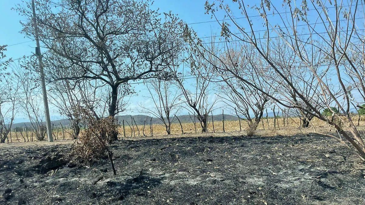 25incendios-bomberos2-luis-flores