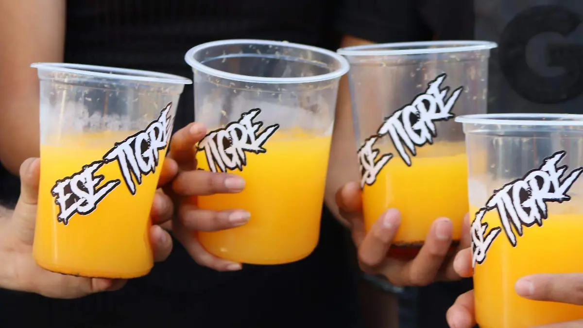 IMG-20260122-WA0095(1)