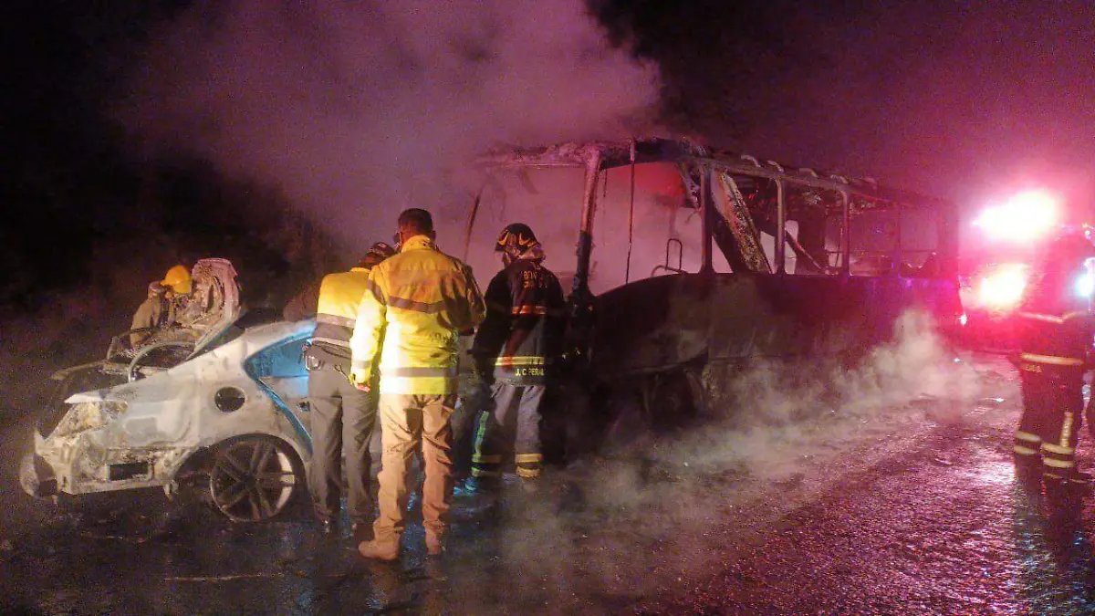 WhatsApp Image 2026-01-24 at 10.15.11 PM