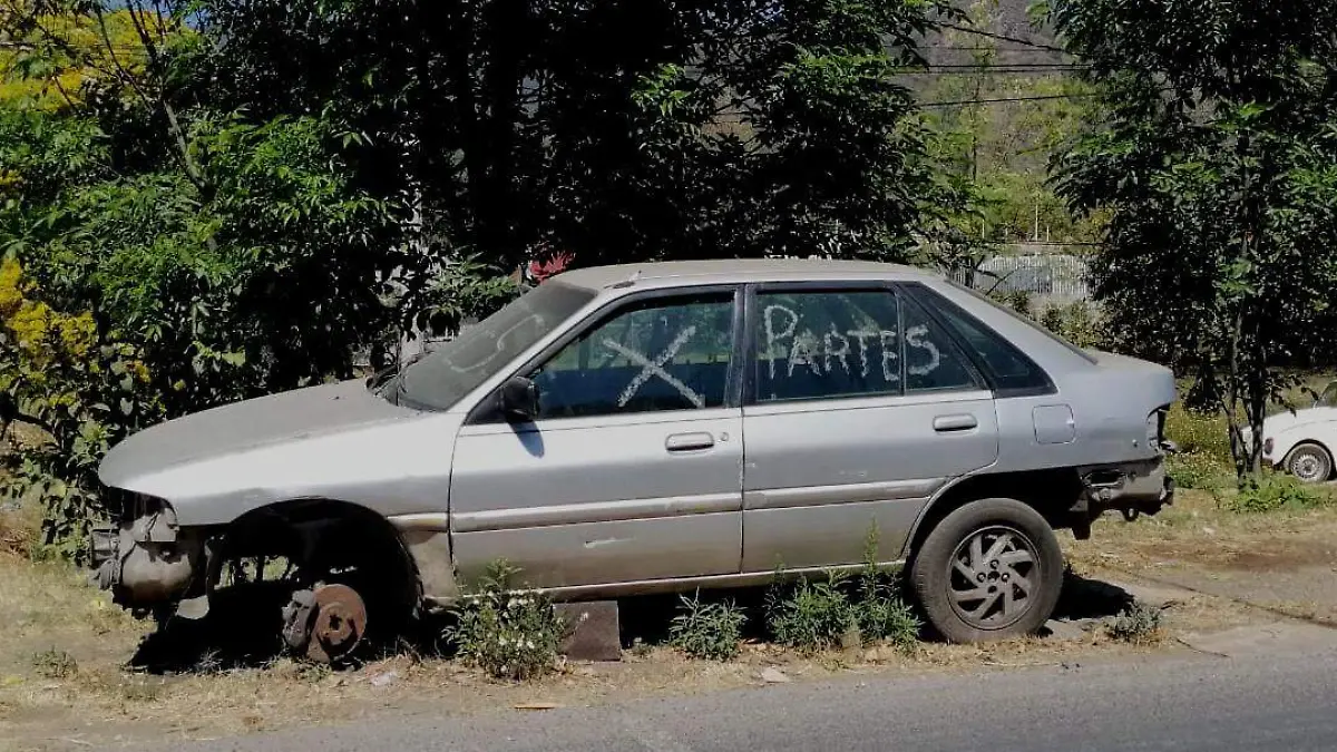 IMG-20260126-WA0251_edit_751620945620727